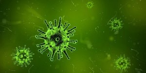 COVID-19 (Coronavirus) Update from Kraig Hissong